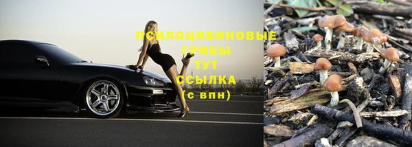 PSILOCYBIN Каменногорск