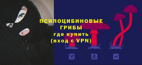 ГАЛЛЮЦИНОГЕННЫЕ ГРИБЫ Ахтубинск