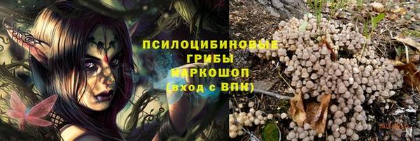 спайс Аша
