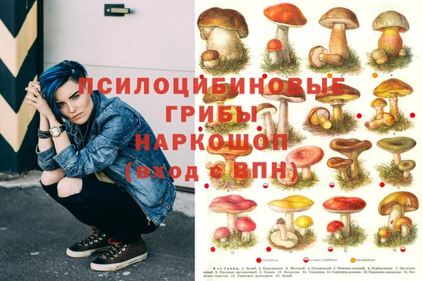 альфа пвп Каменск-Шахтинский